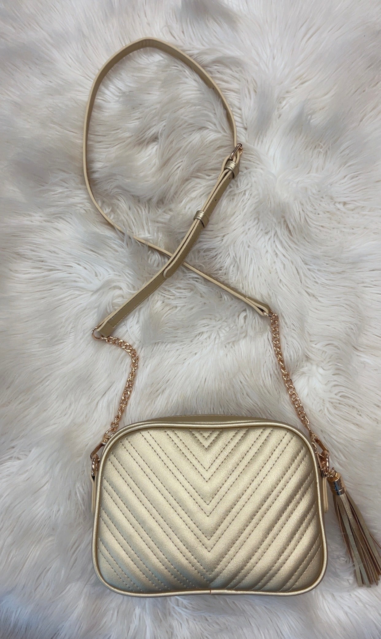 Gold Cross-body Purse
